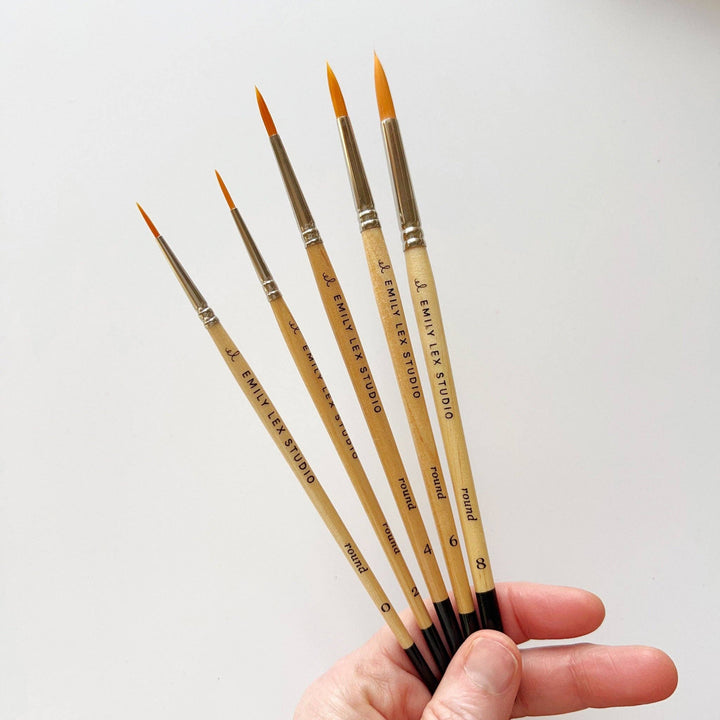 emily lex studio Watercolor paintbrush set