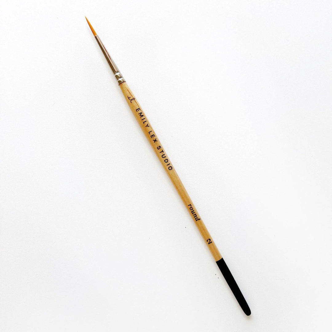 emily lex studio Watercolor paintbrush set