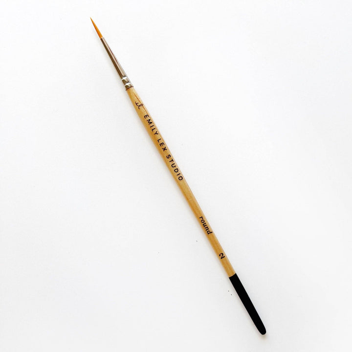 emily lex studio Watercolor paintbrush set