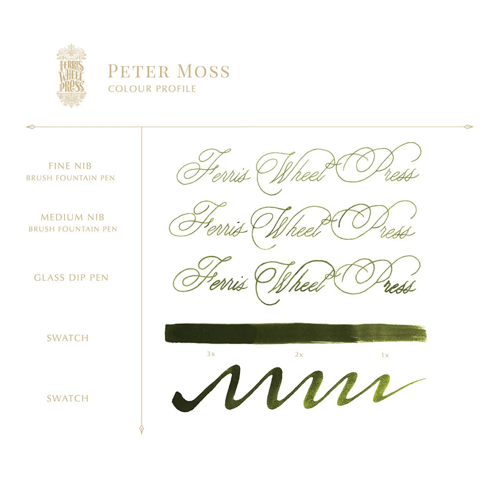 Ferris Wheel Press Pen Ink & Refills Ink Charger Set | The Bookshoppe Collection