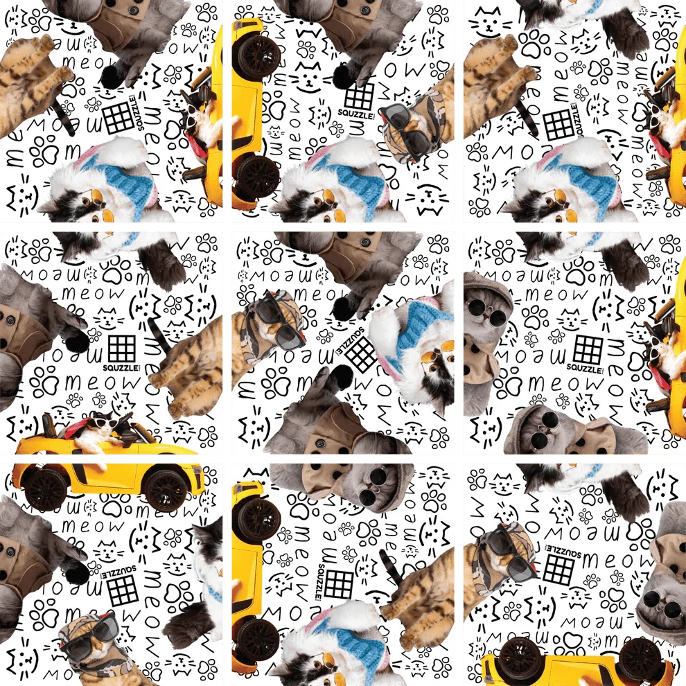 Fun Squared Games Puzzle Cool Cats Squzzle Puzzle | Fun Squared Games