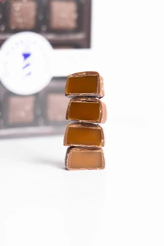 Gig Harbor Candy Company Treats Milk Chocolate Sea Salt Caramels - 9 Piece