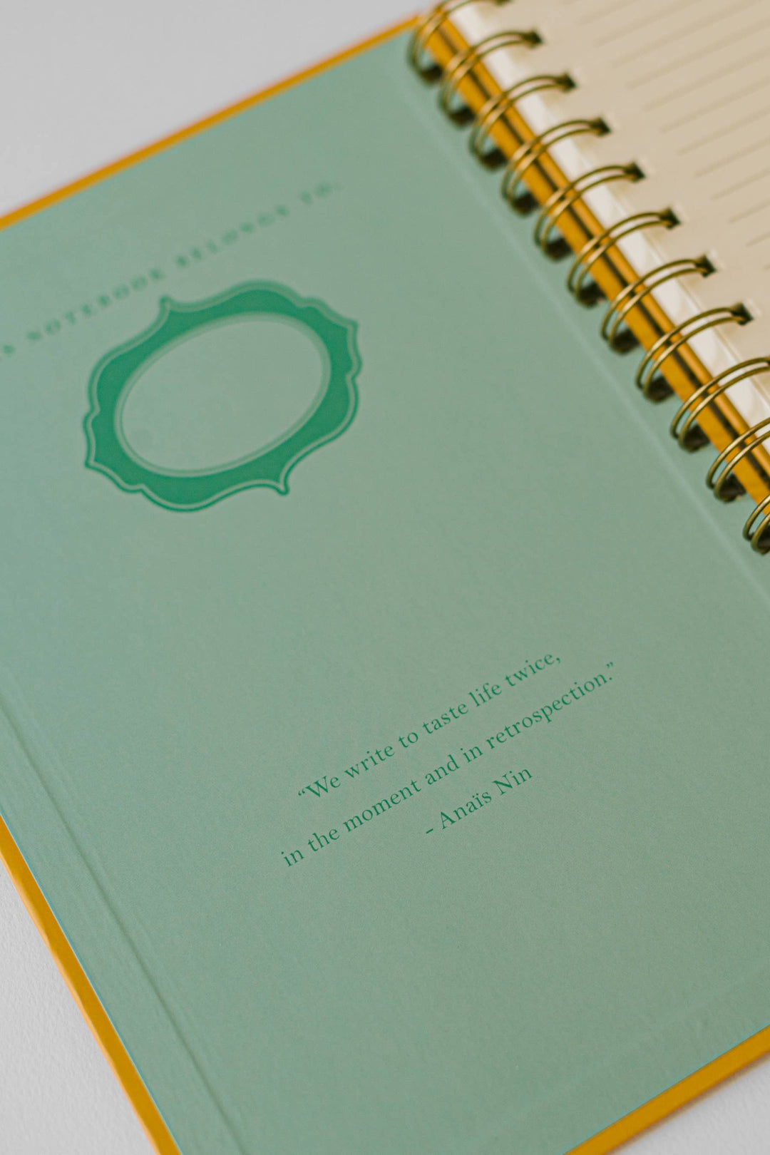 Good Juju Ink paper Cat Library Spiral Notebook