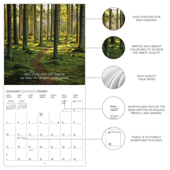 Graphique de France Paper In to the Woods Wall Calendar