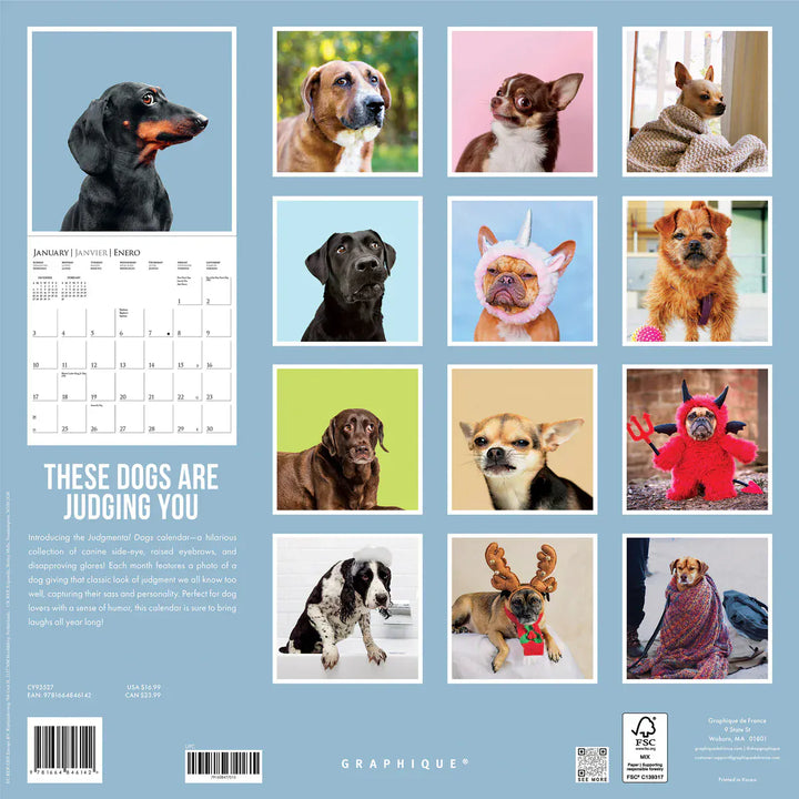 Graphique de France Paper Judgmental Dogs Wall Calendar