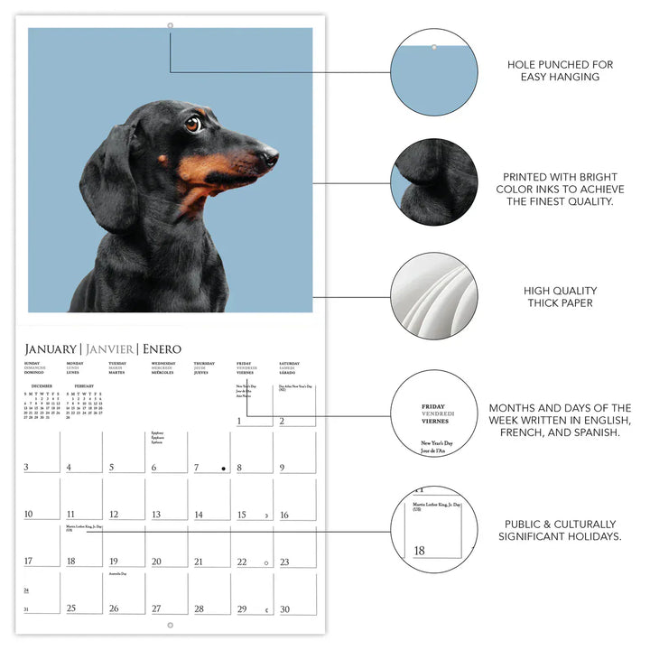Graphique de France Paper Judgmental Dogs Wall Calendar