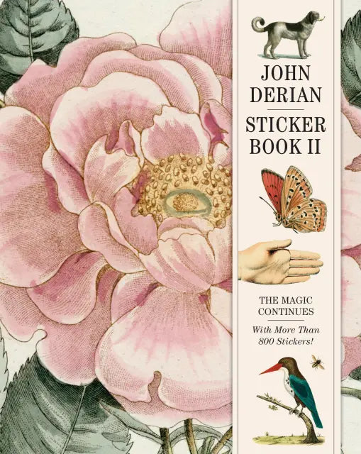 Hachette Cards John Derian Sticker Book II