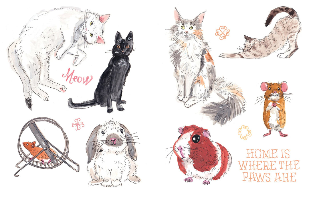 Hachette Cards The Eclectic World of Julia Rothman Sticker Book