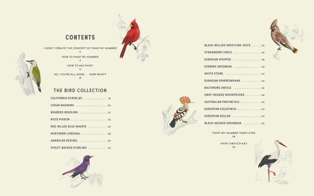 Hachette Gifts Coloready Birds - 20 Modern Paint-by-Number Prints