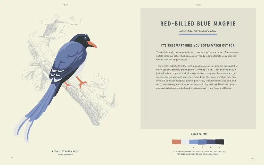 Hachette Gifts Coloready Birds - 20 Modern Paint-by-Number Prints