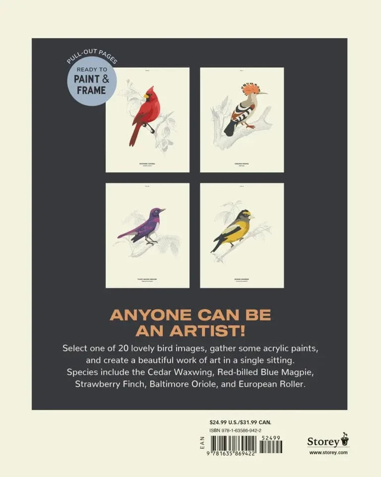 Hachette Gifts Coloready Birds - 20 Modern Paint-by-Number Prints
