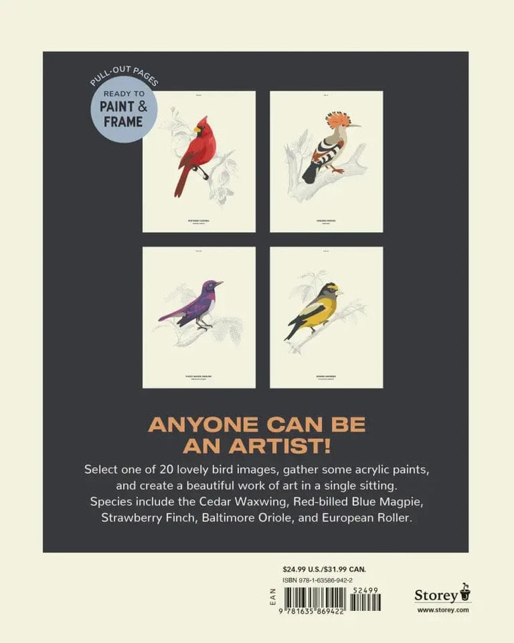Hachette Gifts Coloready Birds - 20 Modern Paint-by-Number Prints