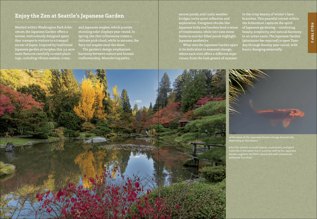 Hachette Gifts Wild Seattle: Explore the Amazing Nature in and around the Emerald City