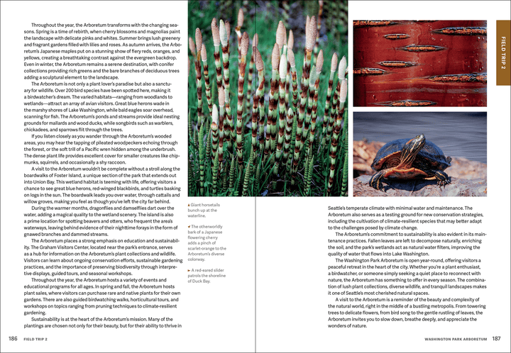 Hachette Gifts Wild Seattle: Explore the Amazing Nature in and around the Emerald City