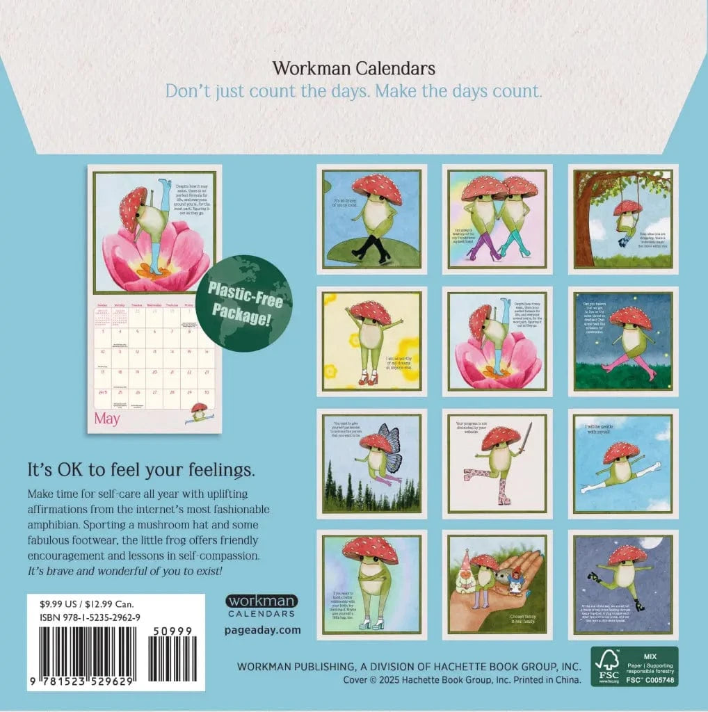 Hachette Paper The Little Frog’s Guide to Self-Care Mini Wall Calendar 2026