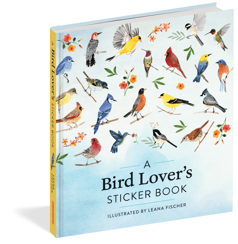 Hachette Sticker Book A Bird Lover's Sticker Book