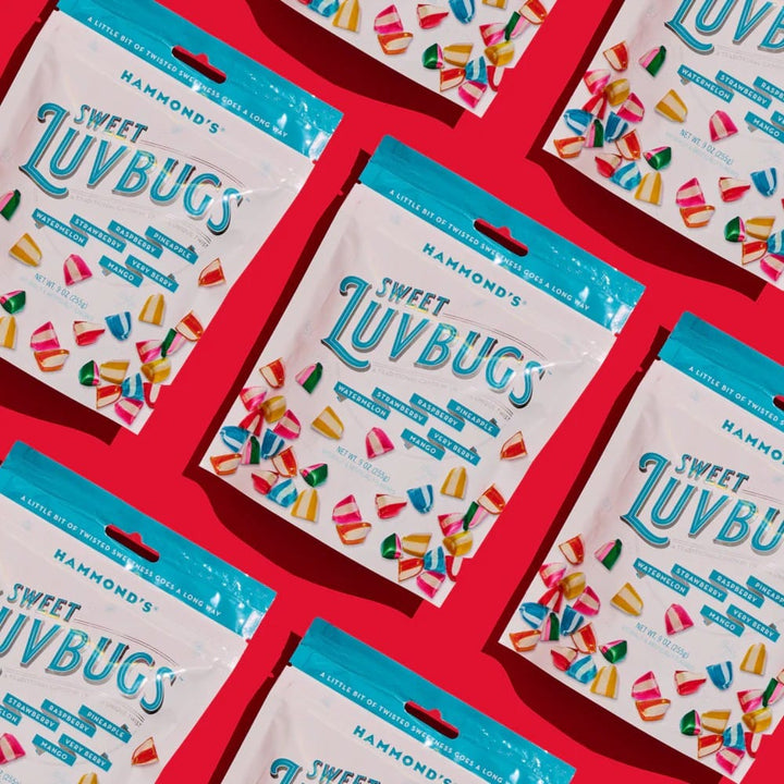 Hammond's Candies Sweet Treats Traditional Candy - Sweet Luvbugs - 9 oz Resealable Bag | Hammond's Candies
