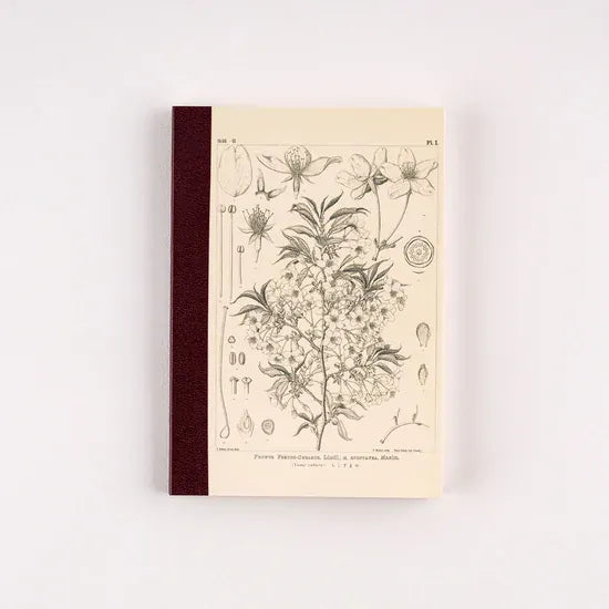 Hobonichi Paper Hobonichi 2027 | Tomitaro Makino: Graph Notebook - Yamazakura