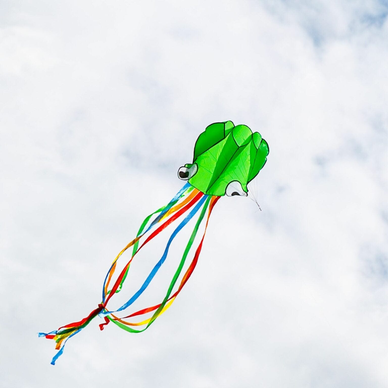 House of Marbles Outdoor Toys Octopus Kite | House of Marbles