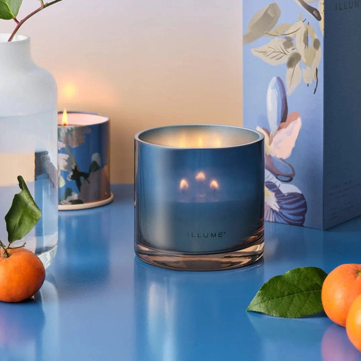 Illume Candle Citrus Crush Matte Ceramic Candle