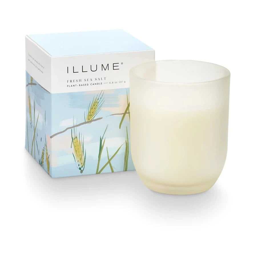 Illume Candle Fresh Sea Salt Baby Boxed Glass Candle