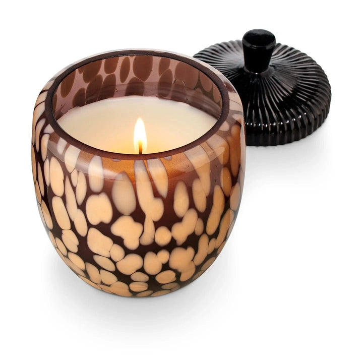 Illume Gifts Midnight Pumpkin Glass Acorn Candle