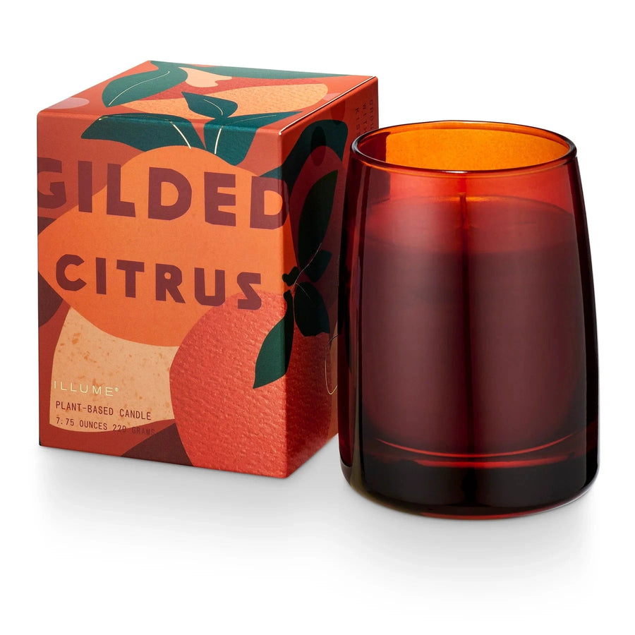 Illume Holiday Gilded Citrus Boxed Glass Candle