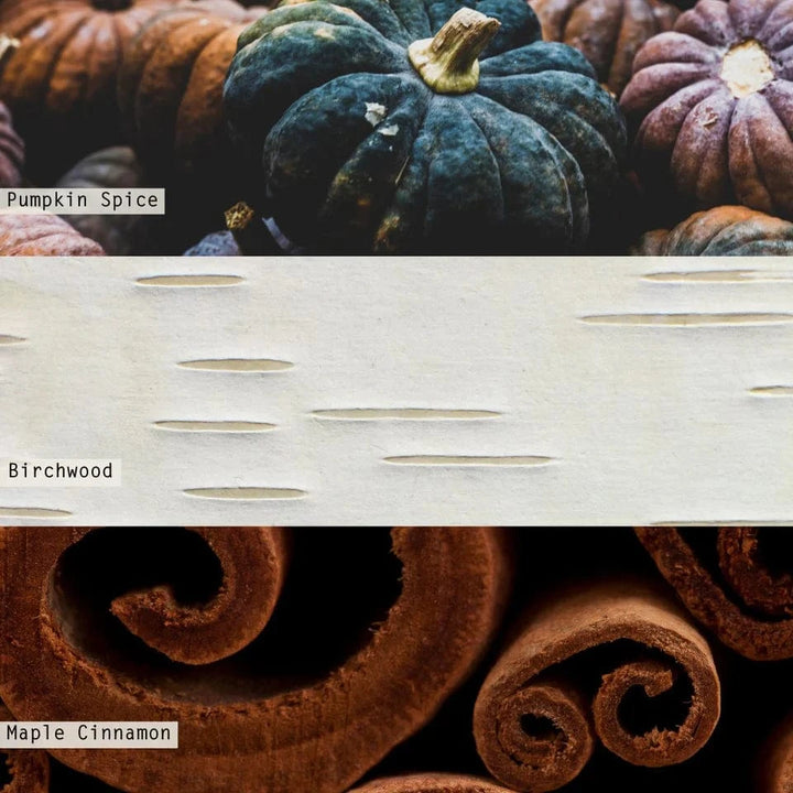 Illume Holiday Midnight Pumpkin Vanity Tin Candle