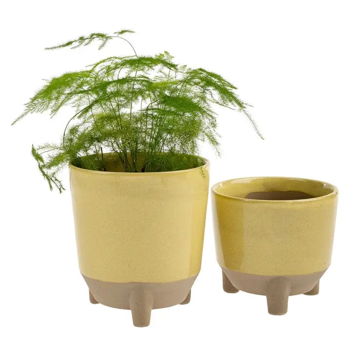 Indaba Pot Botanist Pot - Lemon