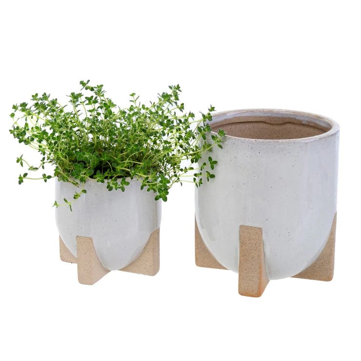 Indaba Pots & Planters Mod Pot