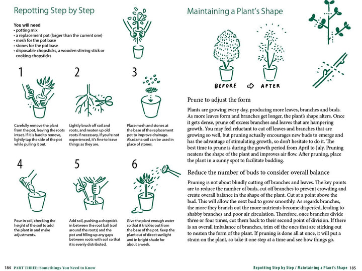 Ingram Publisher Servess Gifts A Beginner's Guide to House Plants: Creating Beautiful and Healthy Green Spaces in Your Home