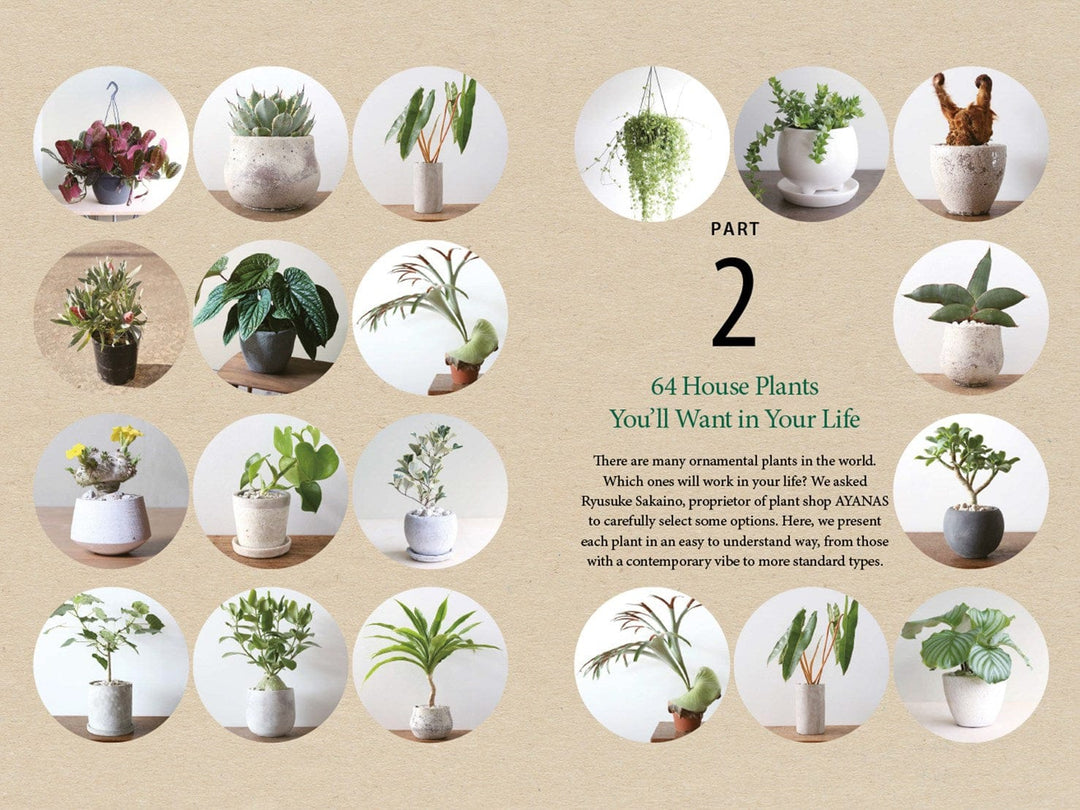 Ingram Publisher Servess Gifts A Beginner's Guide to House Plants: Creating Beautiful and Healthy Green Spaces in Your Home
