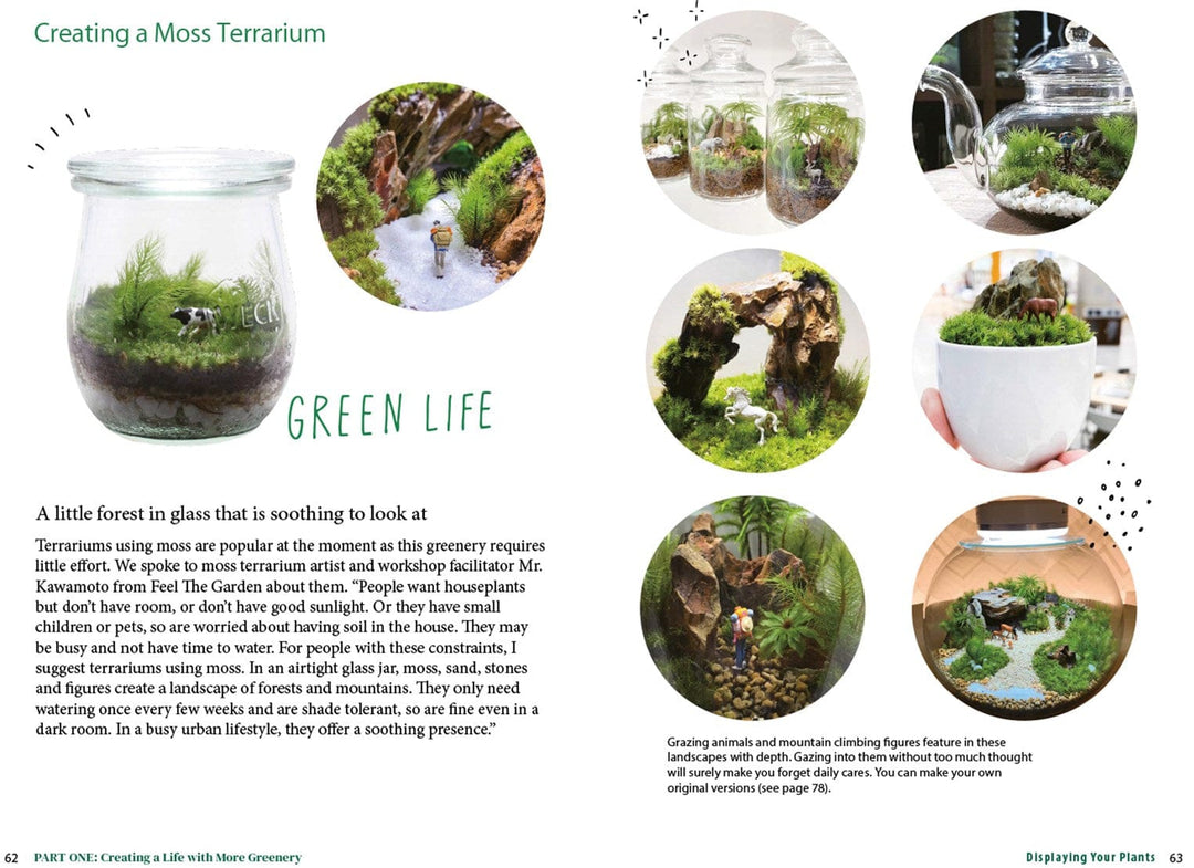 Ingram Publisher Servess Gifts A Beginner's Guide to House Plants: Creating Beautiful and Healthy Green Spaces in Your Home