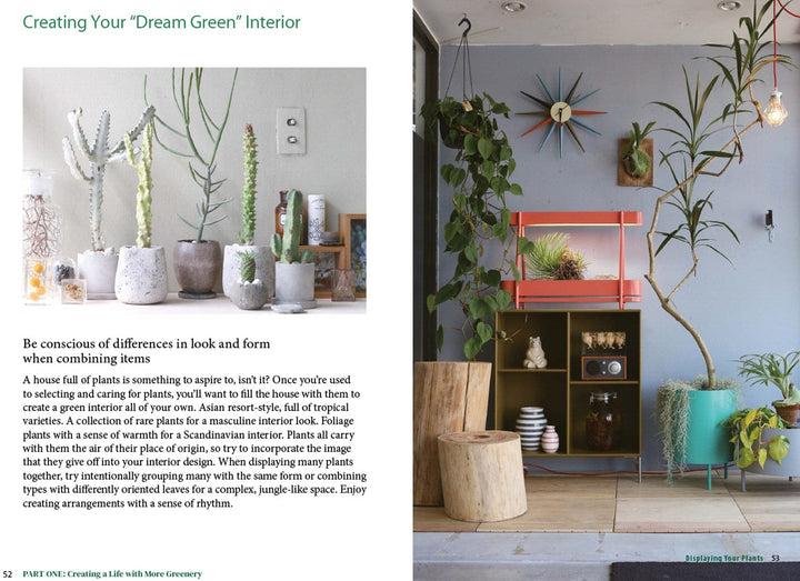 Ingram Publisher Servess Gifts A Beginner's Guide to House Plants: Creating Beautiful and Healthy Green Spaces in Your Home