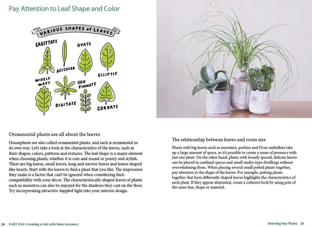 Ingram Publisher Servess Gifts A Beginner's Guide to House Plants: Creating Beautiful and Healthy Green Spaces in Your Home