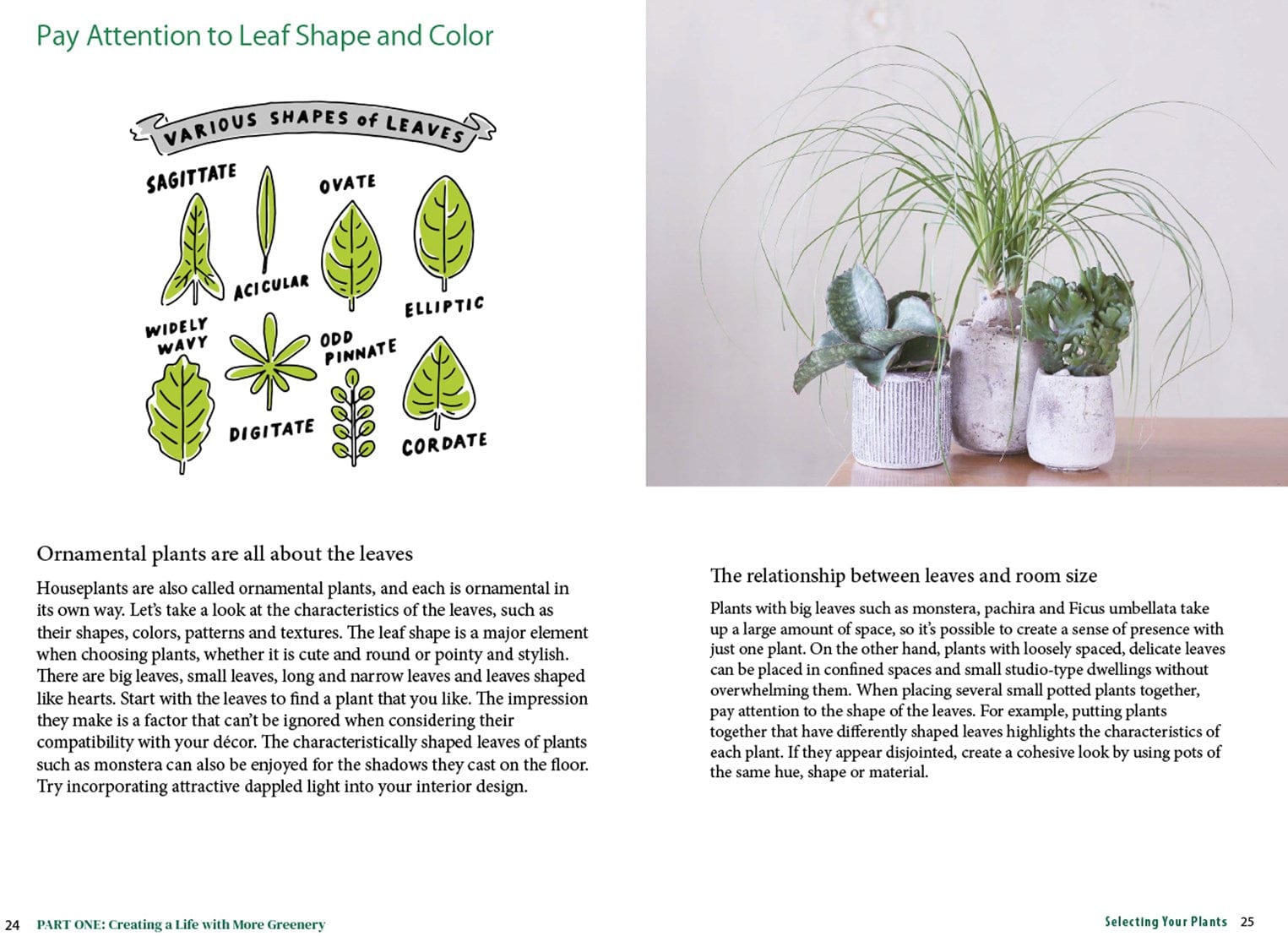 Ingram Publisher Servess Gifts A Beginner's Guide to House Plants: Creating Beautiful and Healthy Green Spaces in Your Home