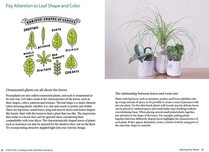 Ingram Publisher Servess Gifts A Beginner's Guide to House Plants: Creating Beautiful and Healthy Green Spaces in Your Home