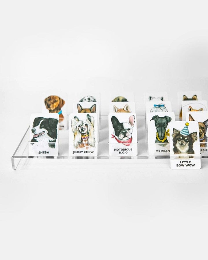 Ingram Publisher Servess Gifts Guess the Doggy Card Game