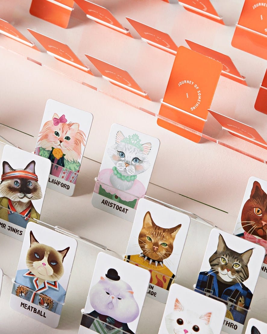 Ingram Publisher Servess Gifts Guess the Feline Card Game