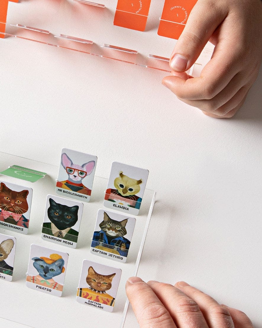 Ingram Publisher Servess Gifts Guess the Feline Card Game