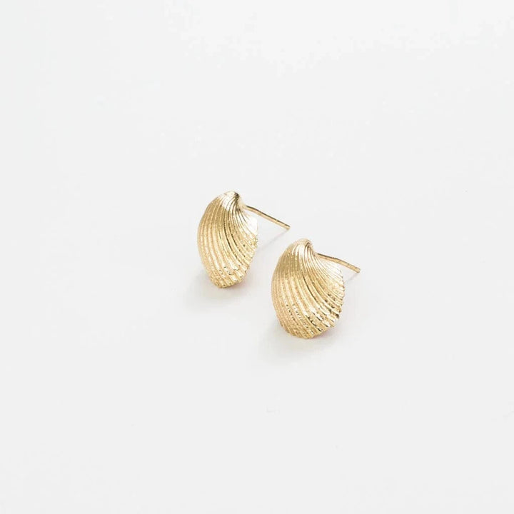 Ink + Alloy Earrings Pearl Cockle Shell Earrings Brass