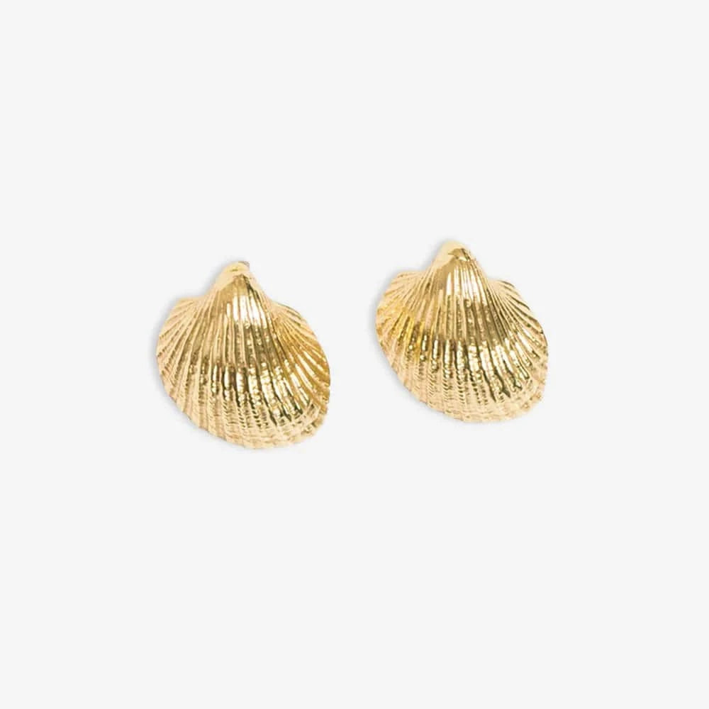 Ink + Alloy Earrings Pearl Cockle Shell Earrings Brass