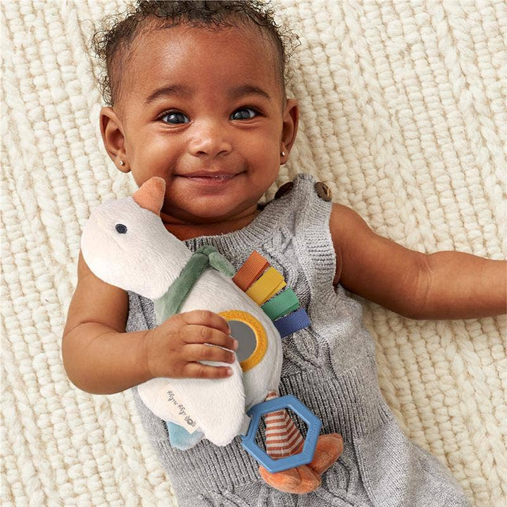 Itzy Ritzy Baby Bitzy Traveler™: Goose