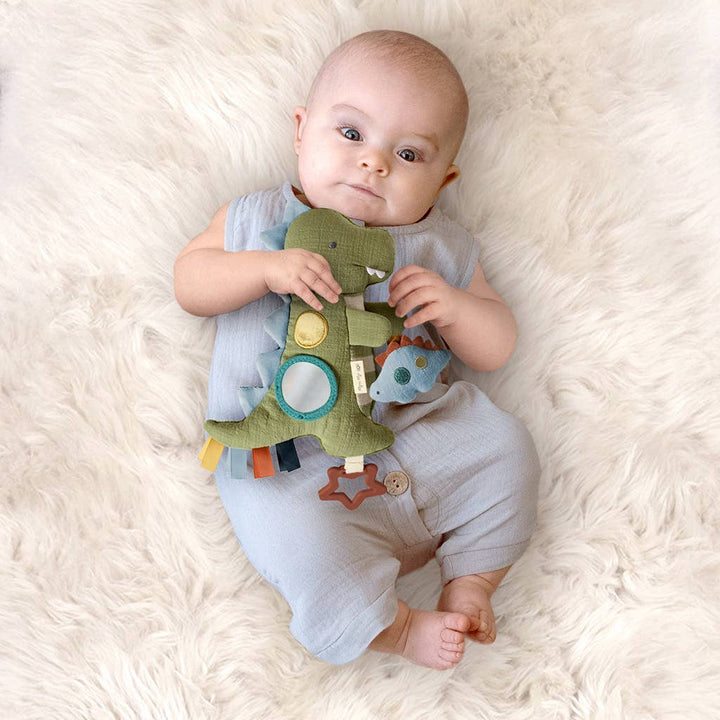 Itzy Ritzy Baby Bitzy Traveler™: Goose