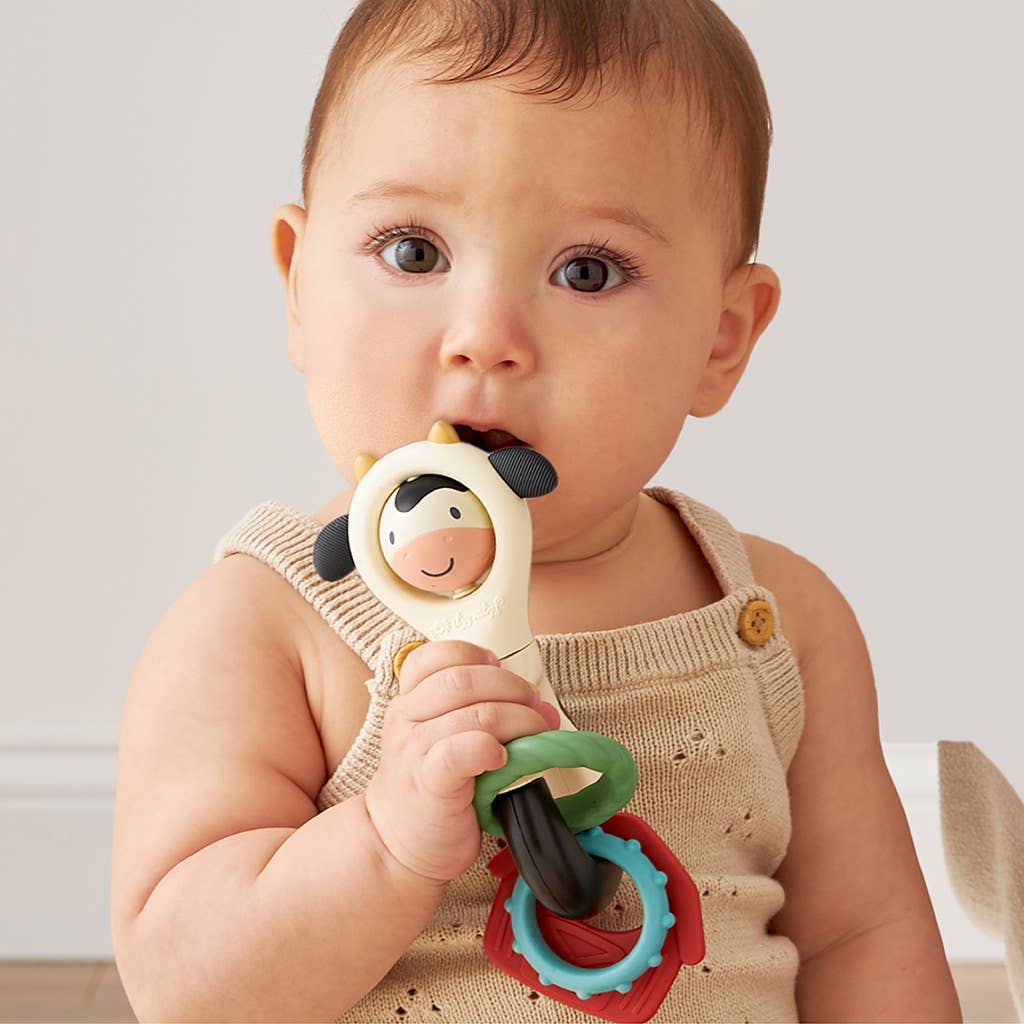 Itzy Ritzy Baby Itzy Spinner™
