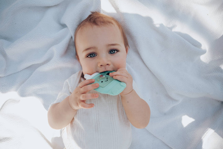 Itzy Ritzy Sweetie Shake Plus™ - Teething + Rattle Toy: Sushi