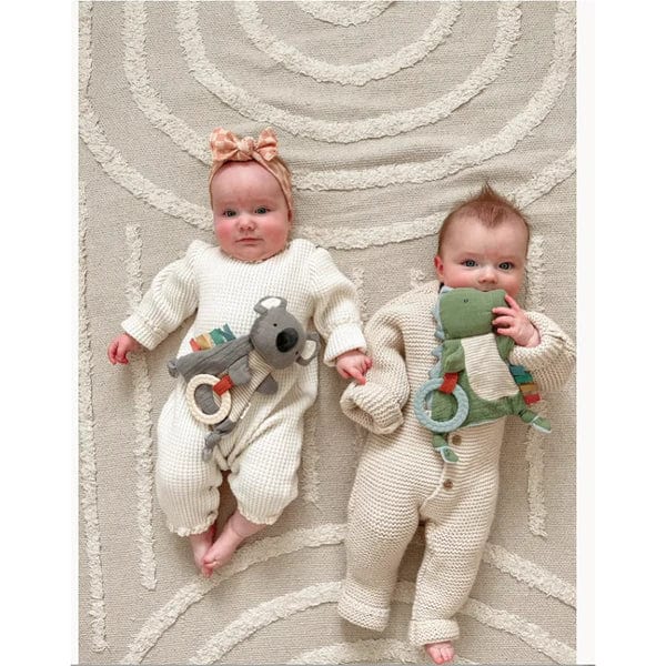 Itzy Ritzy Teether Bitzy Crinkle Dinosaur