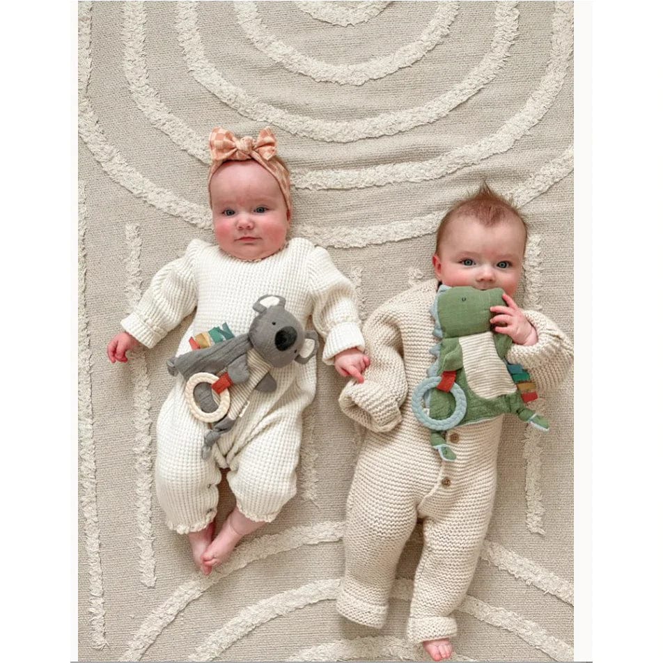 Itzy Ritzy Teether Bitzy Crinkle Koala