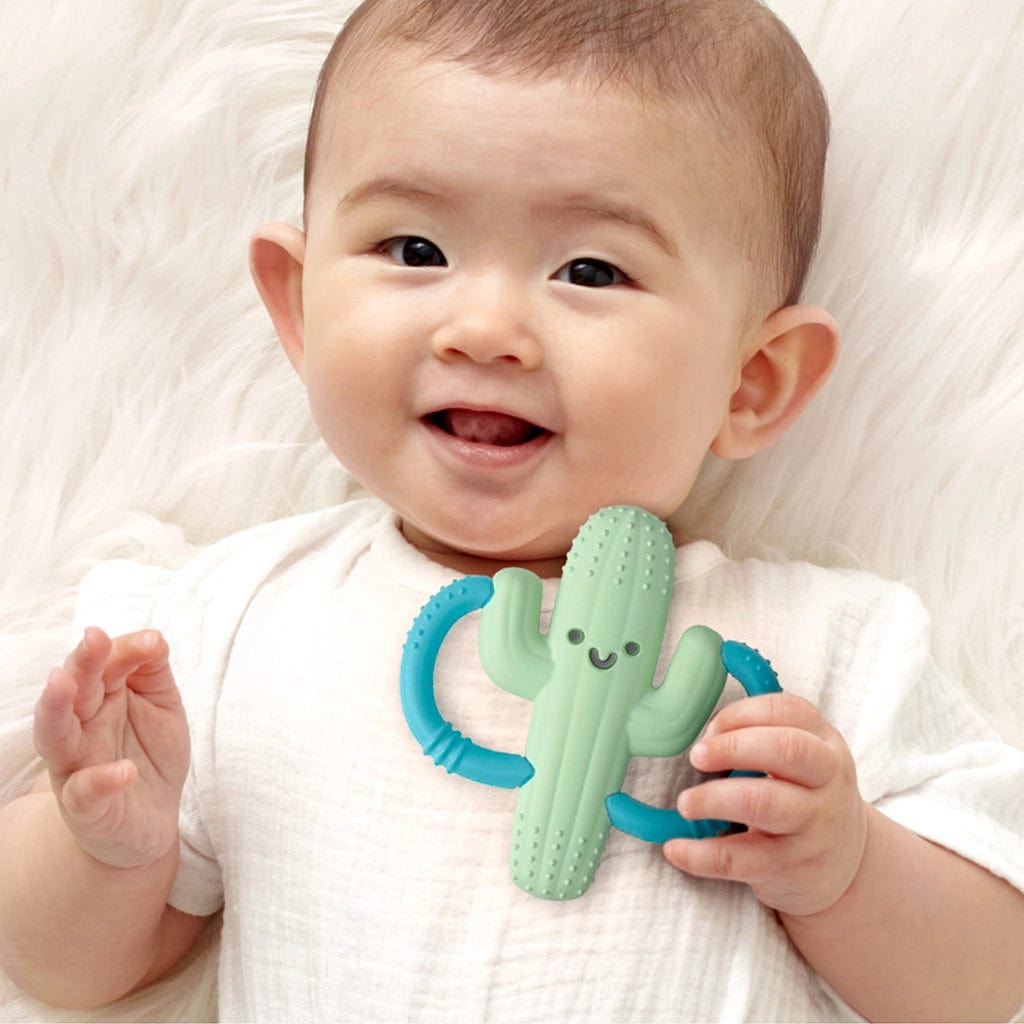 Itzy Ritzy Teether *New* Cactus Chew Crew