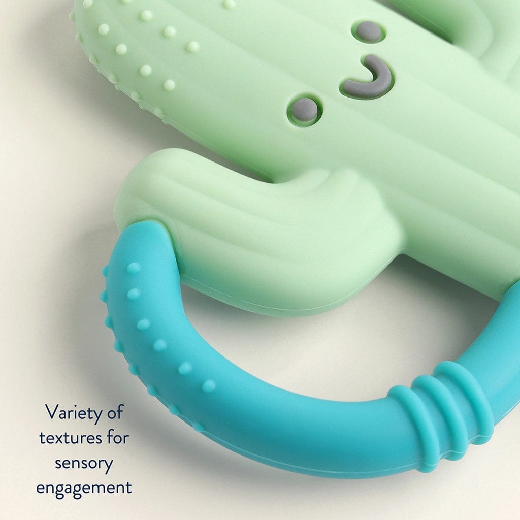 Itzy Ritzy Teether *New* Cactus Chew Crew